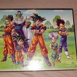 Original 8by10" Anima DragonBall Framed Collectable Pic