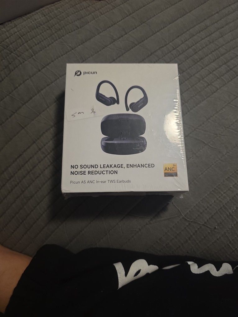 Translator earbuds