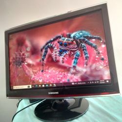 Samsung 24 Inch Widescreen Monitor HDTV VGA HDMI DVI 