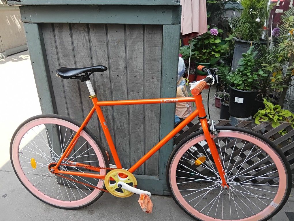 Bike Fixie 52 Cm The Frame