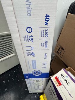 40 w T 8 light