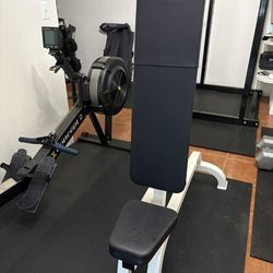Heavy duty Incline/Upright Bench