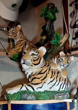 Tiger.
Family