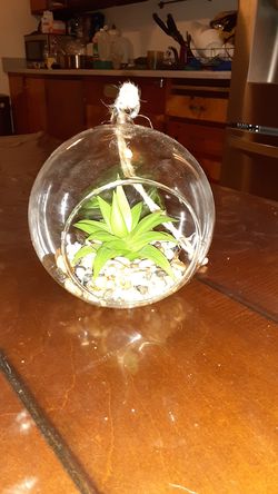 Globe light