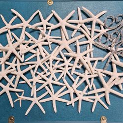 Starfish Decor & Mr & Mrs Silver Cake Topper