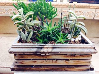 Handcrafted crate box succulent arrangement