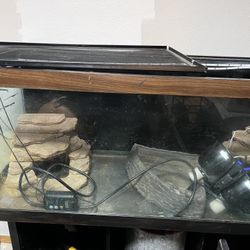 Fish Tank / Snake Tank