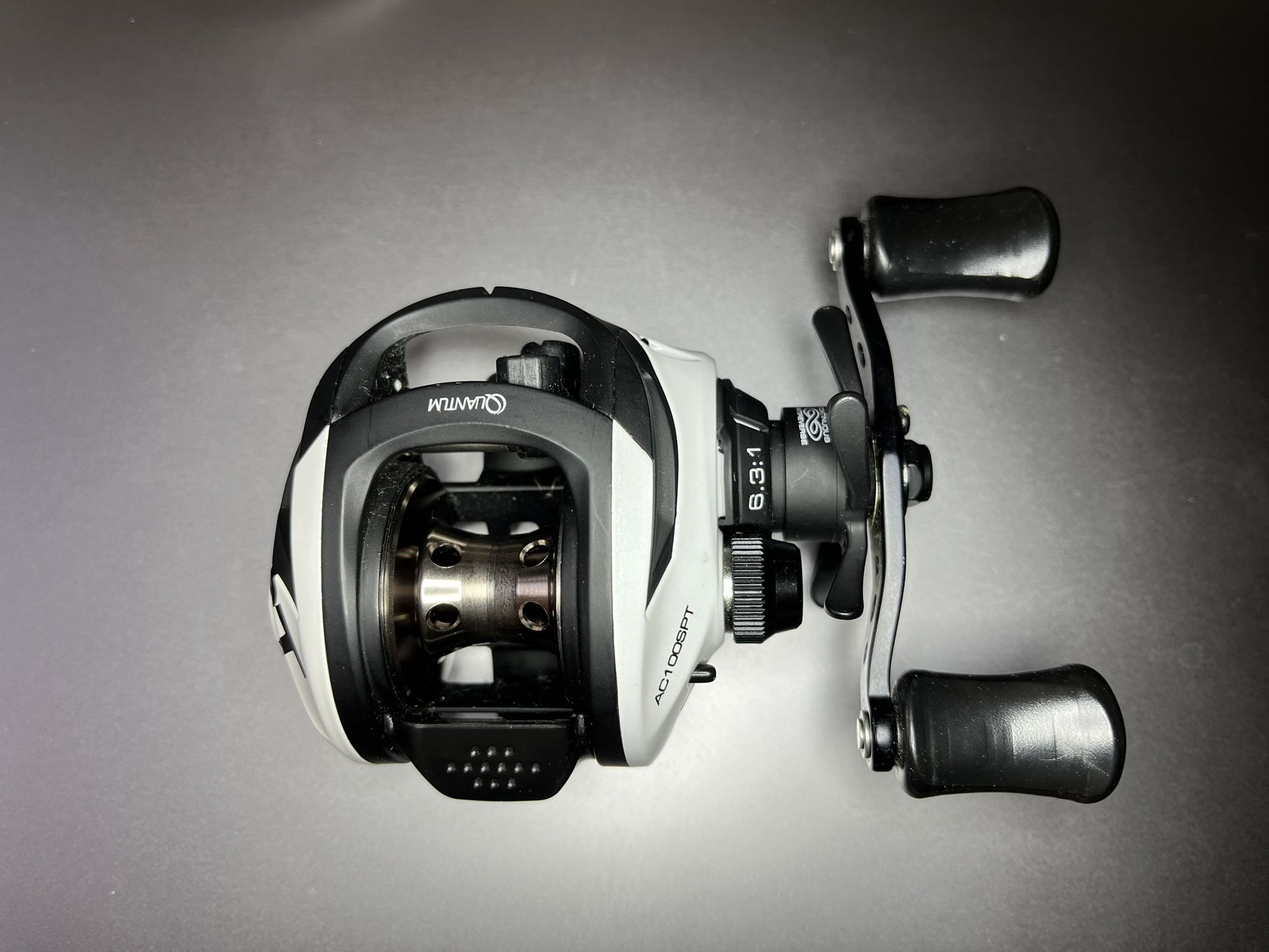 Quantum Accurist Baitcast Fishing Reel