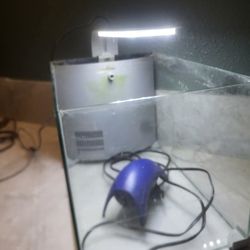 5g Fish Tank Aquarium 