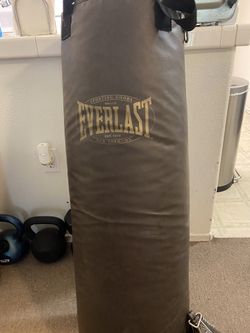 Everlast Power Core Dual Bag And Stand