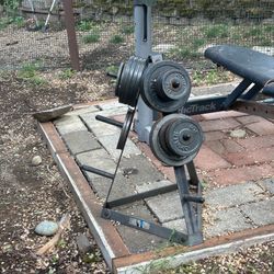 179 lbs of Weights, Dumbbell Handles, and Stand