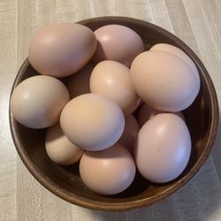Fresh Chicken Eggs 