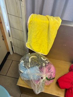 Dog towels