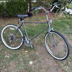 Schwinn Cruiser 5 Speed 