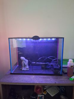 Top fin Fish tank