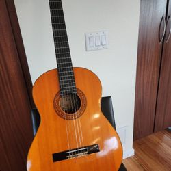 Epiphone  C-10 Guitar In Original Case