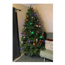 Christmas Tree 🌲 