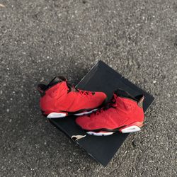 Jordan 6 Toro Bravo Size 12 Men Brand New