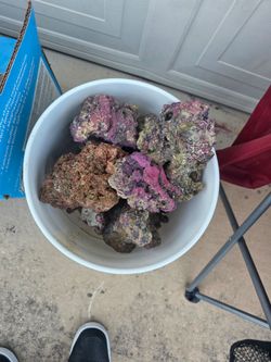 Saltwater rock