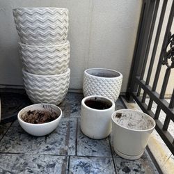 White Planters