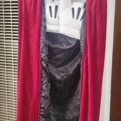 Mickey Costume $20