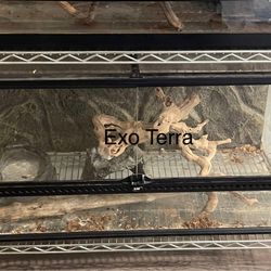 Reptile Enclosure 
