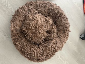 Used but sanitized pet bed