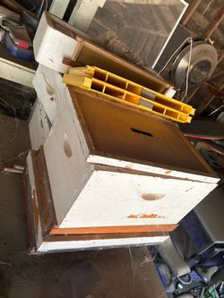 Bee hives with feeders
