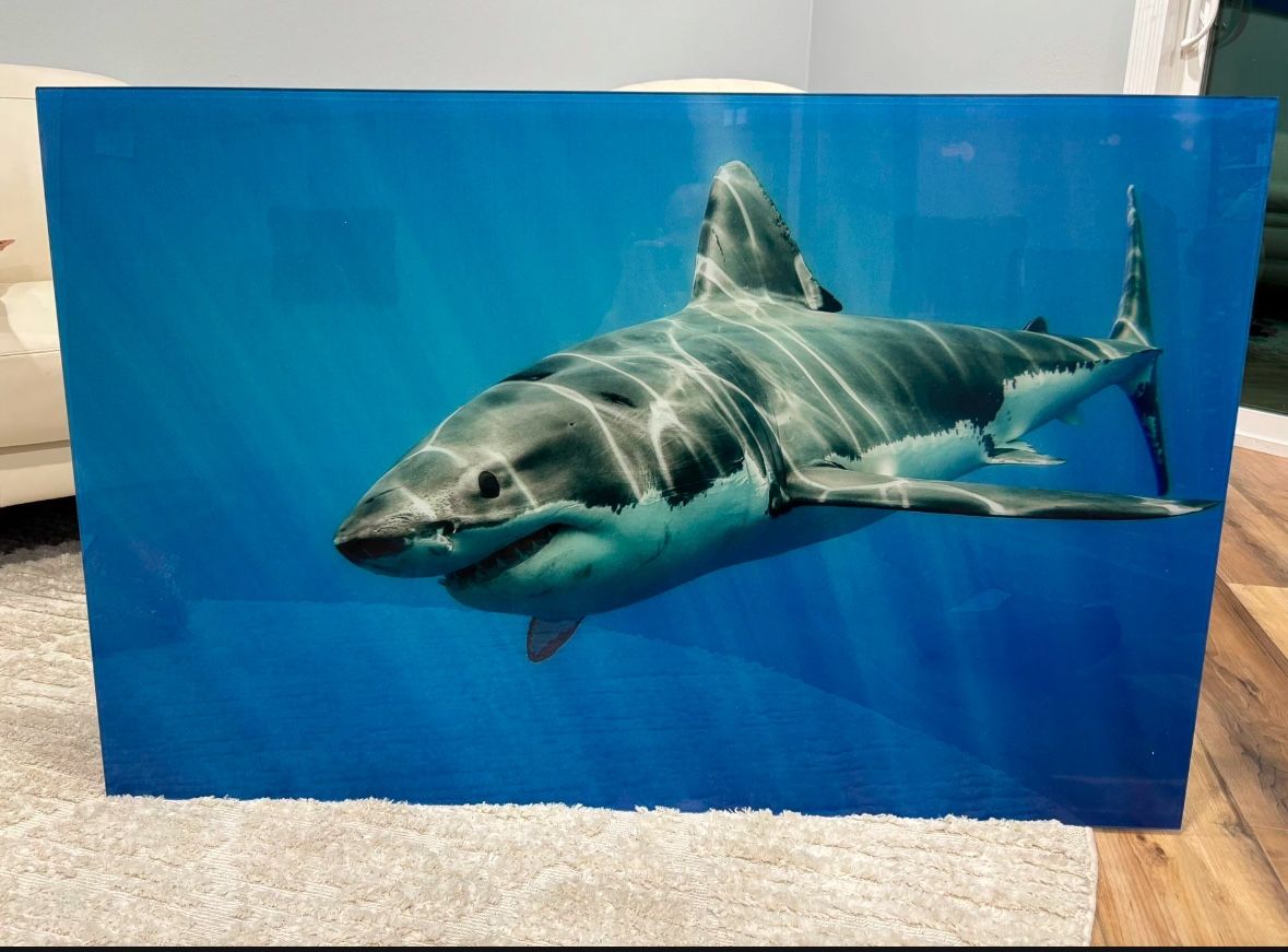 Glass Great White Shark 43” X 27”