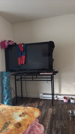 Panasonic Screen TV (older version)