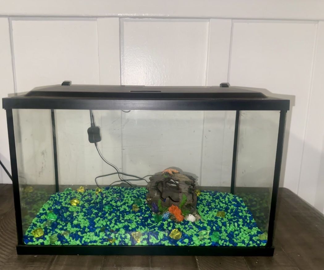 10 Gallon Fish Tank 