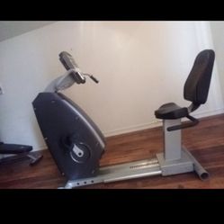Scifit Recumbent Bike