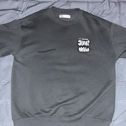 Zara dark gray sweater