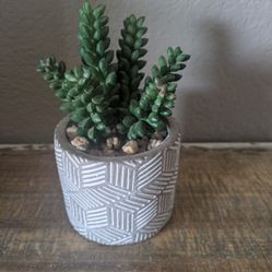 FAKE SUCCULENT PLANT (SMALL 3-IN)