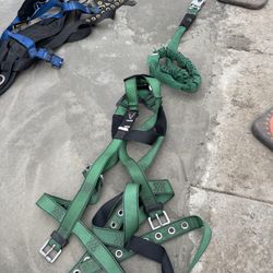 Safety Harness