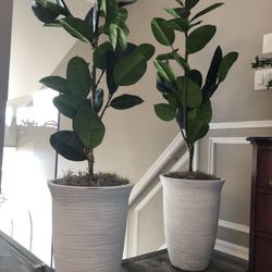 Very Gorgeous 2 Artificial plant