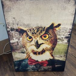 Owl Canvas Painting 