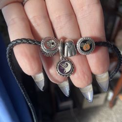 Pandora Park Exclusive Charms