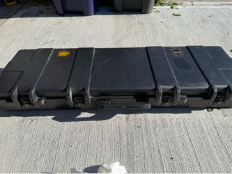 Cabelas two guns hard case