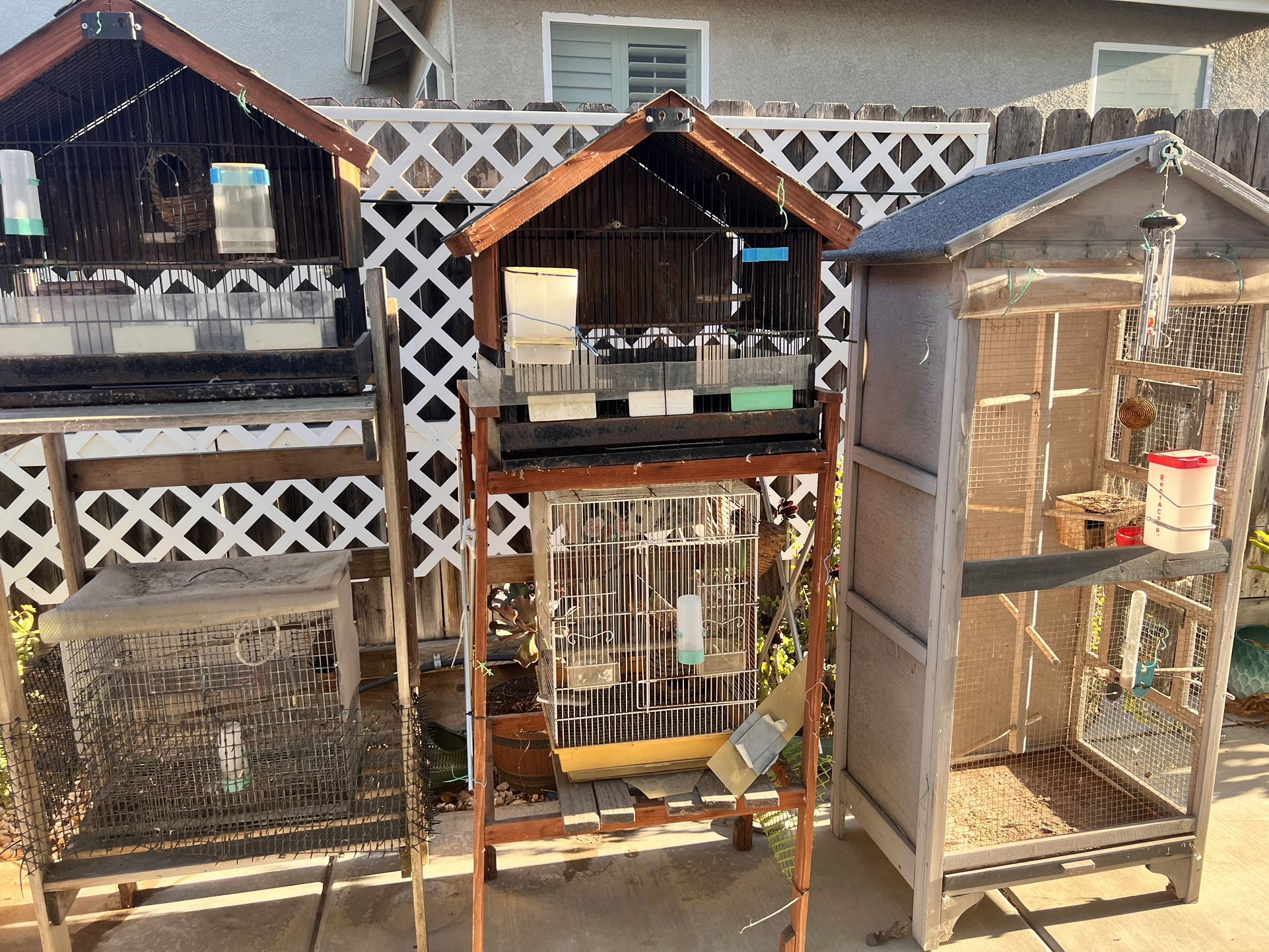 Bird Cage