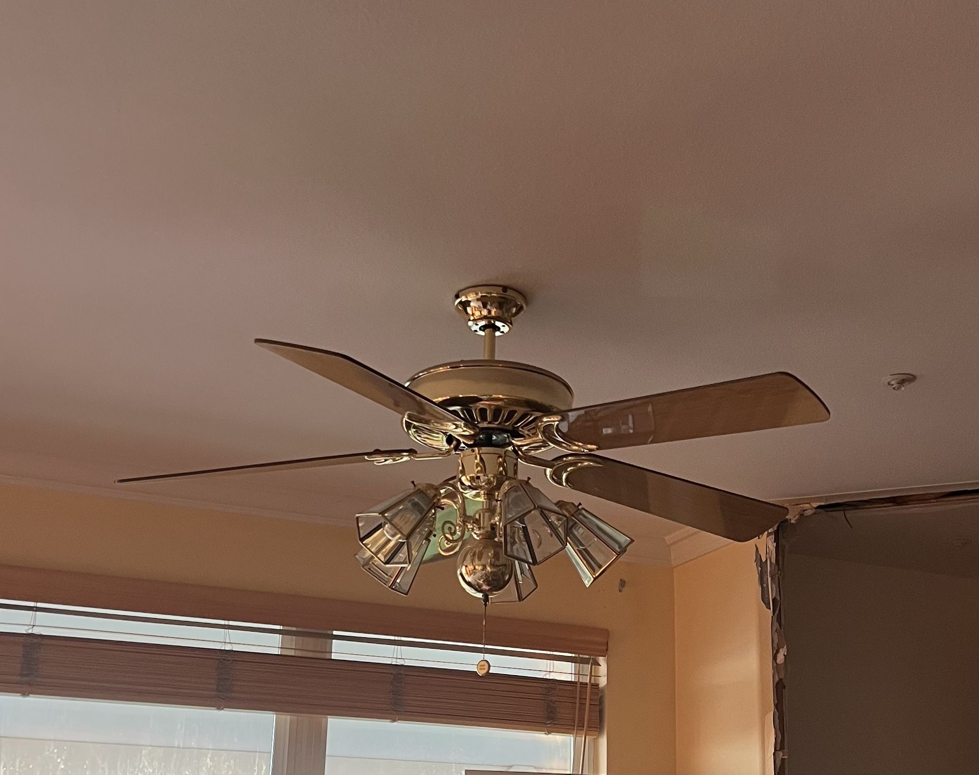 Ceiling Fan With Lights