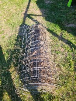Field fence