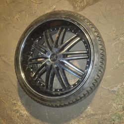 Tire/llanta