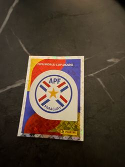 Paraguay world cup painni