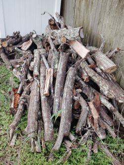 Free firewood