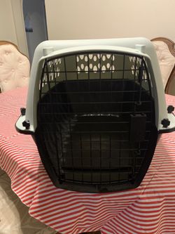 Cat carrier-Like New