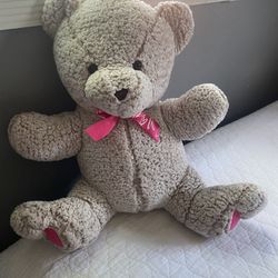 Teddy Bear