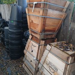 Botes Para Arboles 15g $2.50, 25g $4 , y Las Cajas a $15