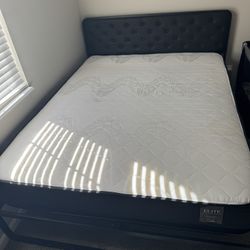 Queen Bed & Base – $250 (Westerville)