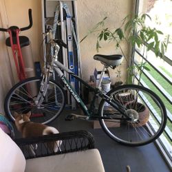 Cannondale adventure outlet for sale